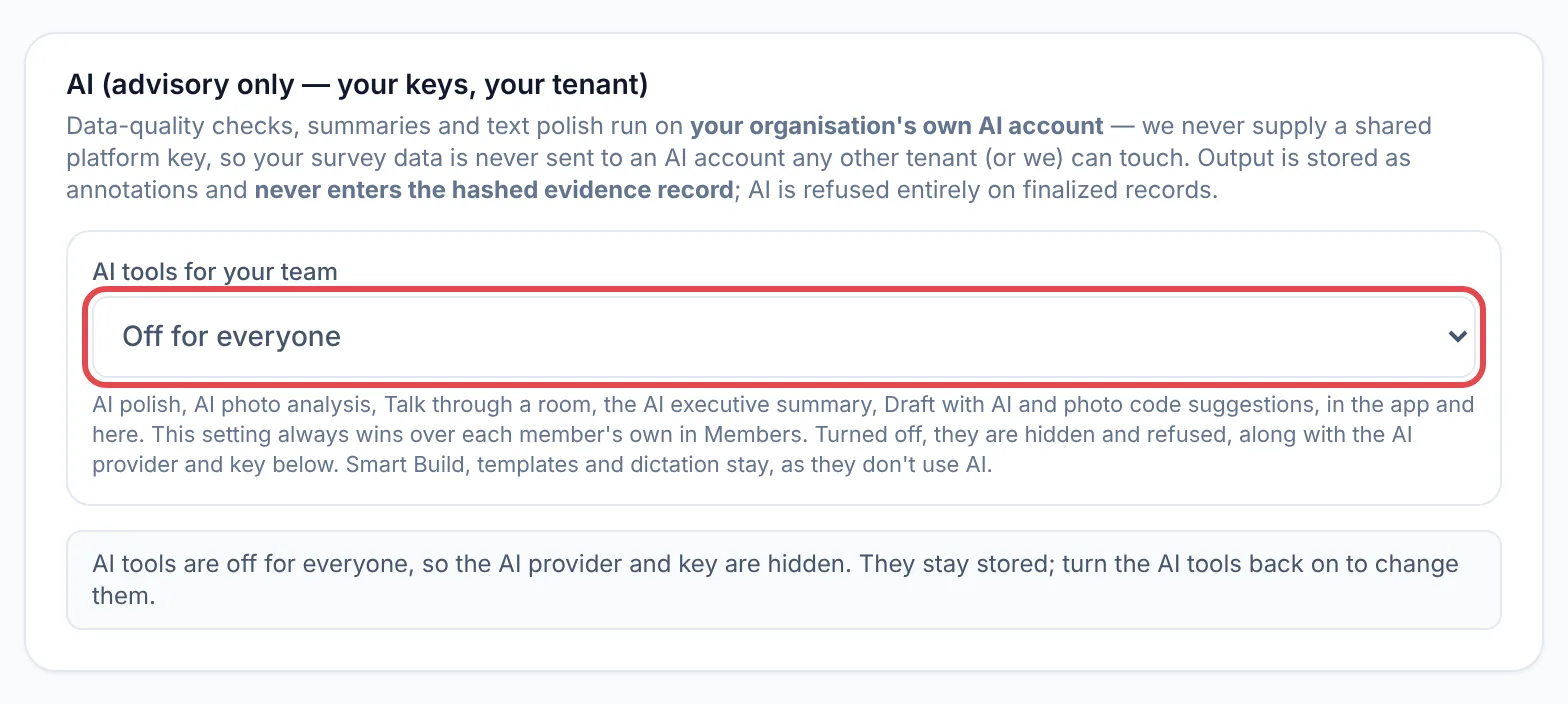 Settings, AI, with Off for everyone chosen under AI tools for your team, ringed in red, and a note that the AI provider and key are hidden.